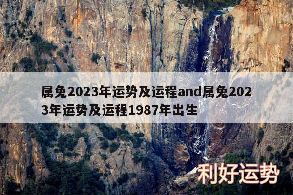 属兔2024年运势及运程and属兔2024年运势及运程1987年出生