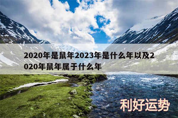 2020年是鼠年2024年是什么年以及2020年鼠年属于什么年