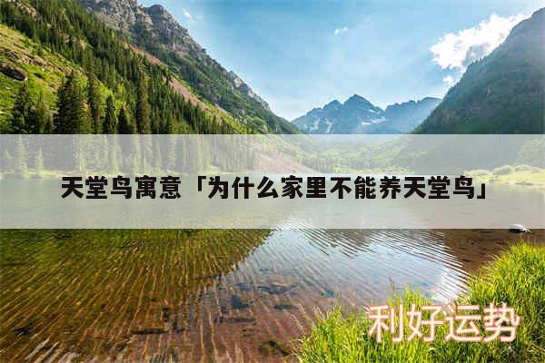 天堂鸟寓意及为什么家里不能养天堂鸟