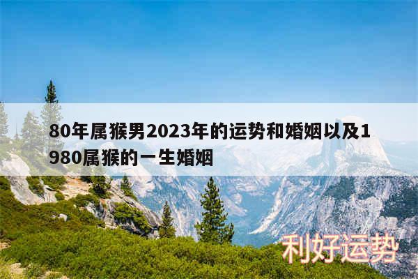 80年属猴男2024年的运势和婚姻以及1980属猴的一生婚姻