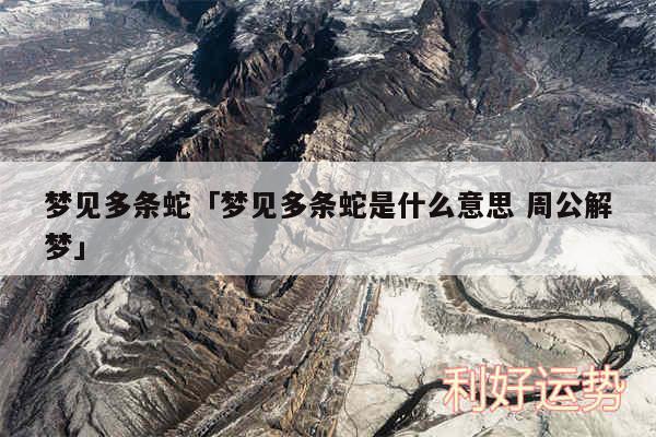 梦见多条蛇及梦见多条蛇是什么意思 周公解梦