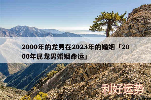 2000年的龙男在2024年的婚姻及2000年属龙男婚姻命运