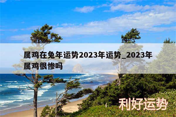 属鸡在兔年运势2024年运势_2024年属鸡很惨吗