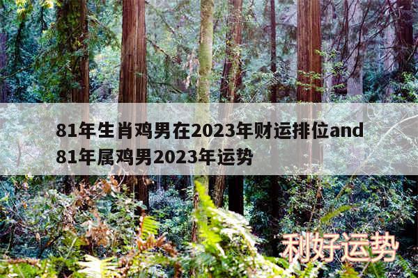 81年生肖鸡男在2024年财运排位and81年属鸡男2024年运势