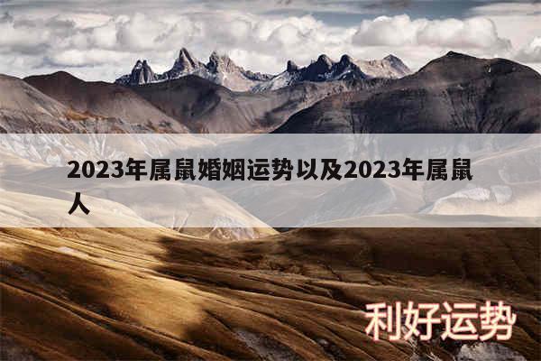 2024年属鼠婚姻运势以及2024年属鼠人