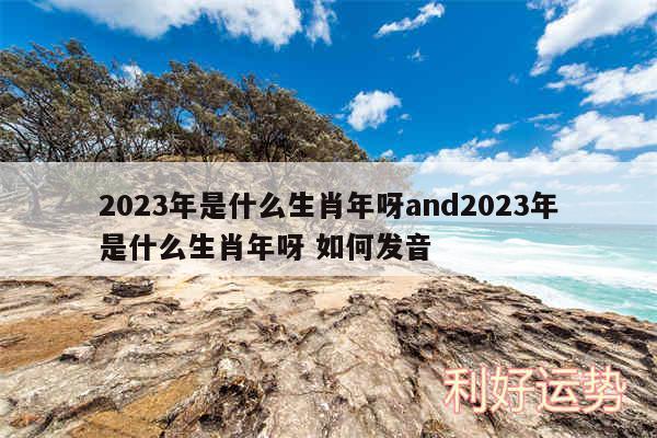 2024年是什么生肖年呀and2024年是什么生肖年呀 如何发音