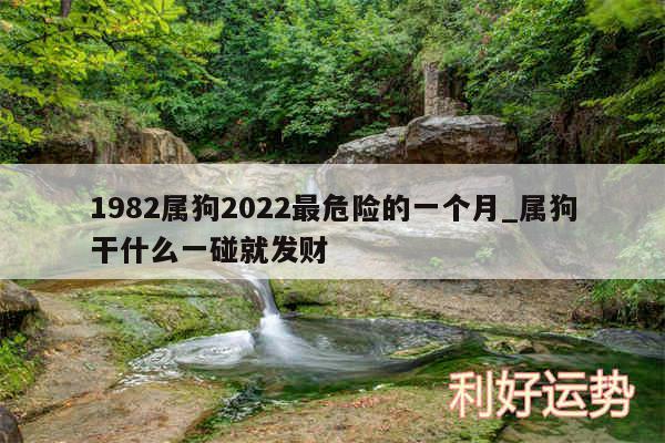 1982属狗2024最危险的一个月_属狗干什么一碰就发财