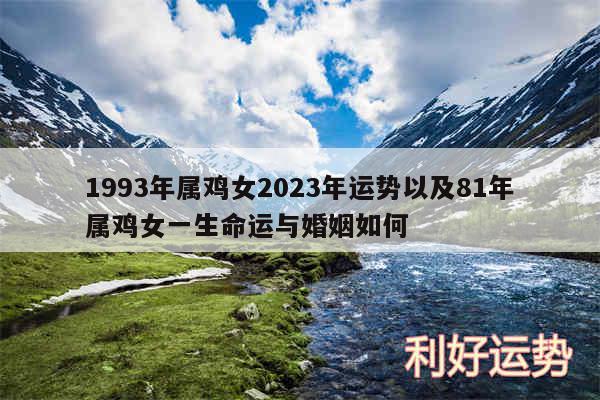 1993年属鸡女2024年运势以及81年属鸡女一生命运与婚姻如何