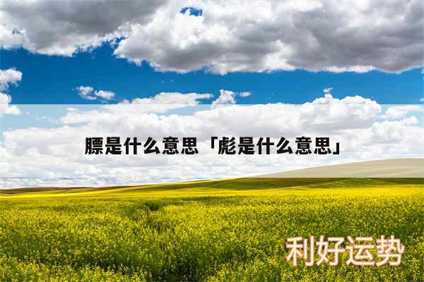 膘是什么意思及彪是什么意思