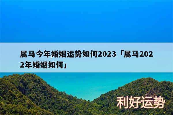 属马今年婚姻运势如何2024及属马2024年婚姻如何