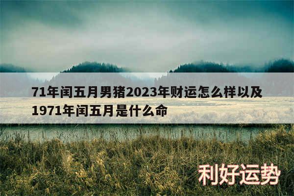 71年闰五月男猪2024年财运怎么样以及1971年闰五月是什么命