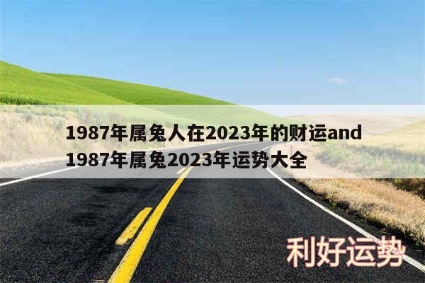 1987年属兔人在2024年的财运and1987年属兔2024年运势大全