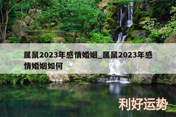 属鼠2024年感情婚姻_属鼠2024年感情婚姻如何