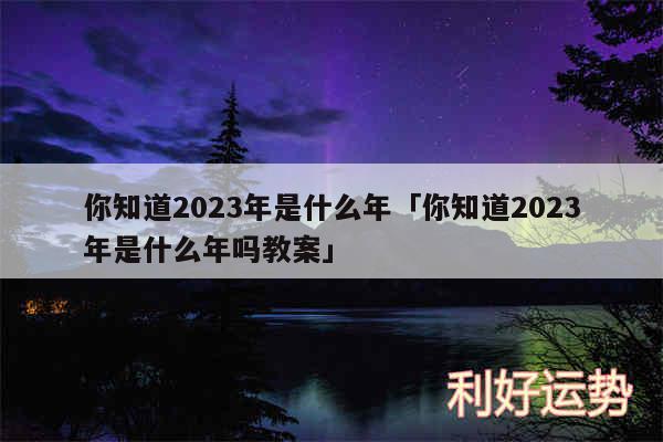 你知道2024年是什么年及你知道2024年是什么年吗教案