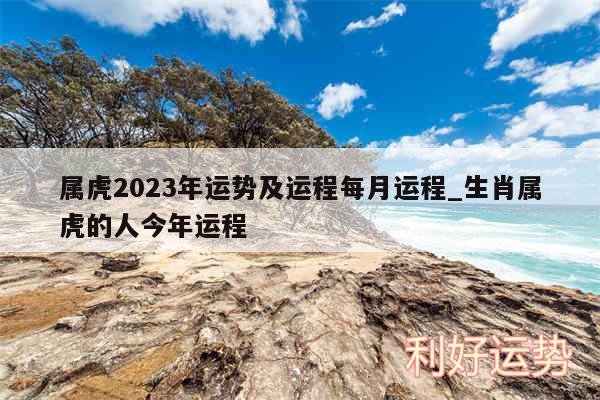 属虎2024年运势及运程每月运程_生肖属虎的人今年运程