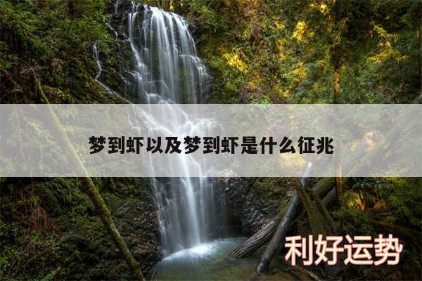 梦到虾以及梦到虾是什么征兆