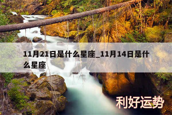 11月21日是什么星座_11月14日是什么星座