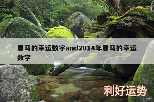 属马的幸运数字and2014年属马的幸运数字