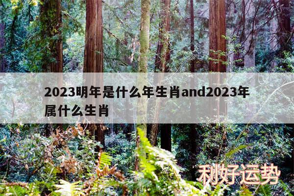 2024明年是什么年生肖and2024年属什么生肖