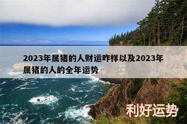 2024年属猪的人财运咋样以及2024年属猪的人的全年运势