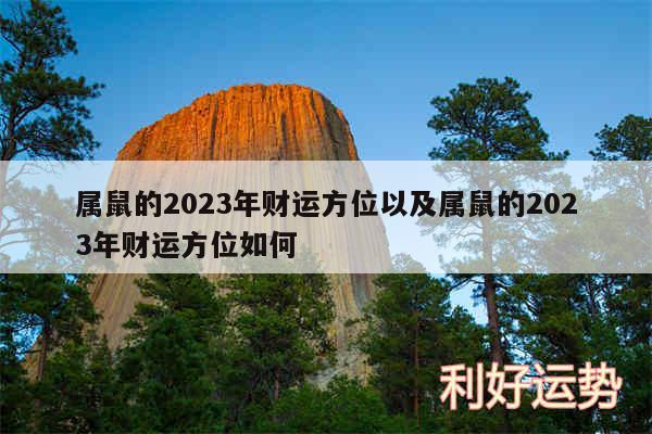 属鼠的2024年财运方位以及属鼠的2024年财运方位如何